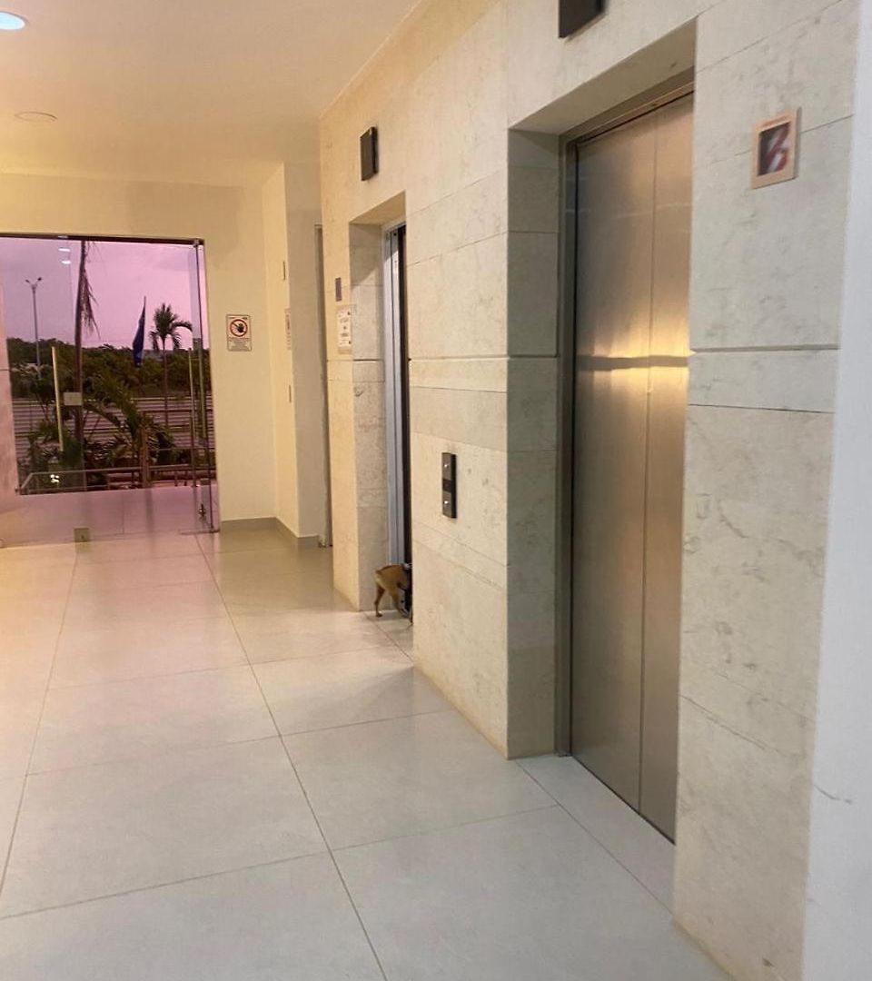 Apartment Con Piscina, Playa Y Cerca Aeropuerto De